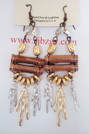 Fashion earrings